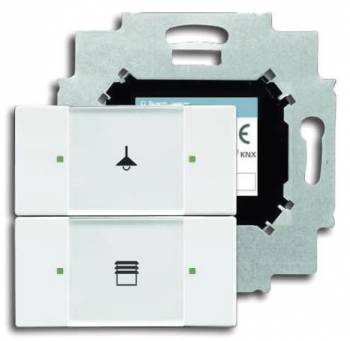 Busch Jaeger 2CKA006116A0173