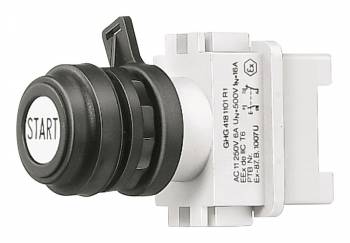 CEAG GHG4188115R0001