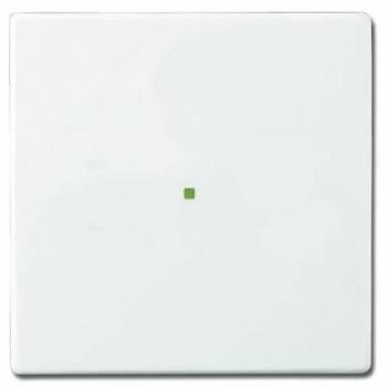 Busch Jaeger 2CKA006220A0034