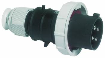 BALS 21754