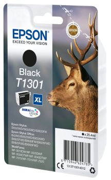 Epson C13T13014012