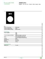 Datasheet for Schneider Electric ZB2BY2904, EAN: 3389110645408