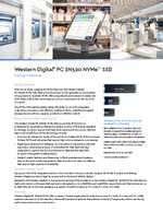 Datasheet for SANDISK SDAPMUW-128G