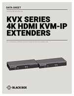 Datasheet for BlackBox KVXLCH-100, EAN: 00822088133650