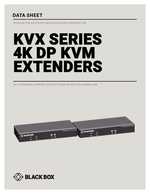 Datasheet for BlackBox KVXLCDPF-100, EAN: 00822088142591