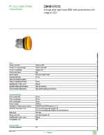 Datasheet for Schneider Electric ZB4BV053S, EAN: 3389110290844