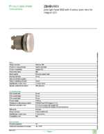 Datasheet for Schneider Electric ZB4BV003, EAN: 3389110889611