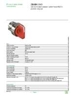 Datasheet for Schneider Electric ZB4BK1343, EAN: 3389110890747
