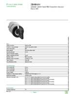 Datasheet for Schneider Electric ZB4BG04, EAN: 3389110651874